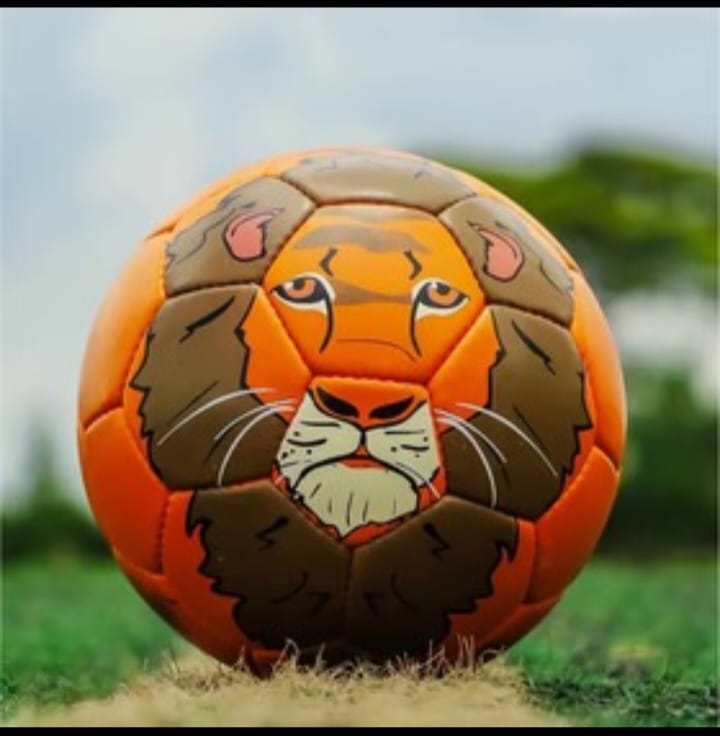 Football Size 5 Animal ball 